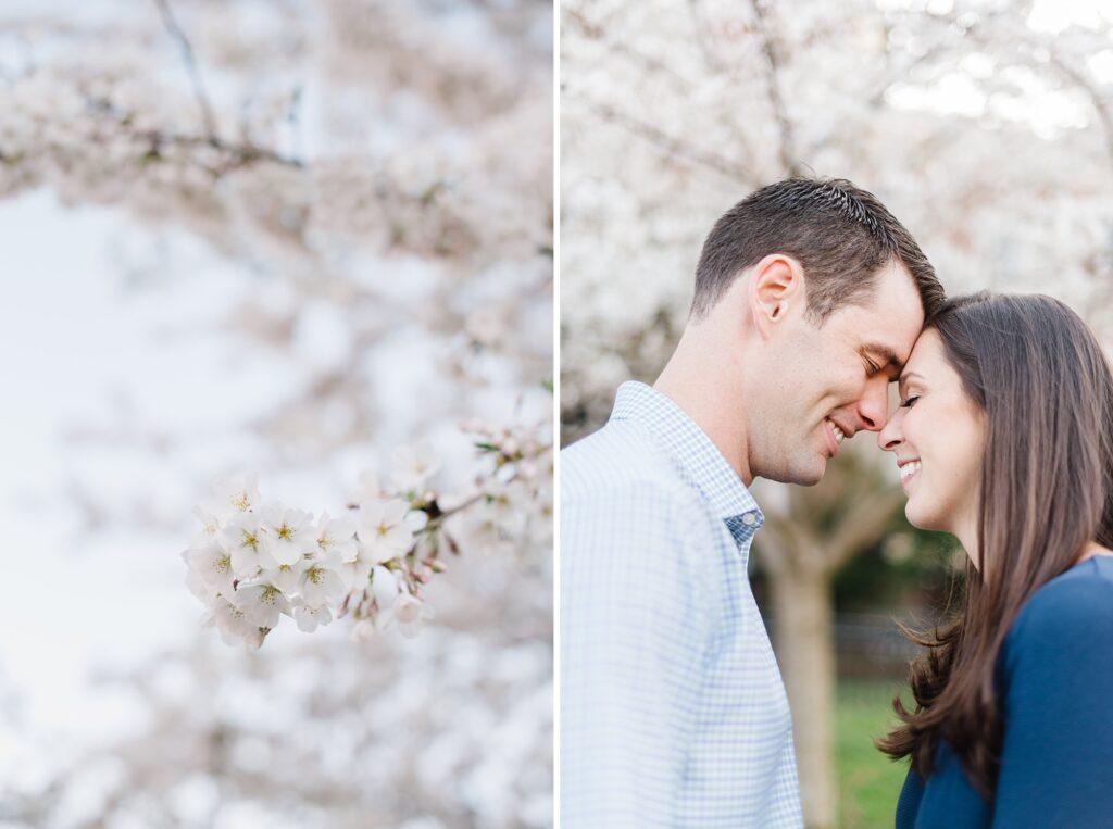 Washington DC Cherry Blossom Engagements